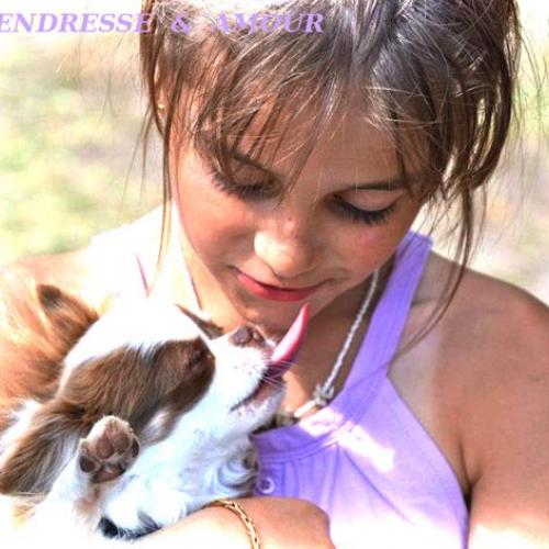 Eleveur : du Paradis des P'tits Cracks