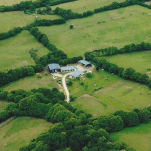 Eleveur : les chevaux de penhoat