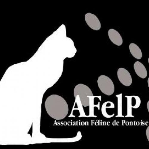 Association : Association Féline de Pontoise