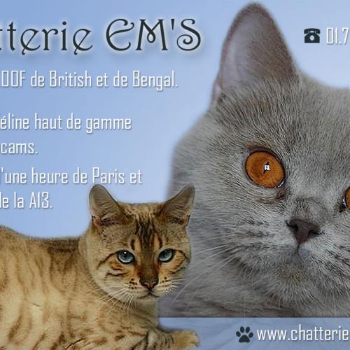 Chatterie EM'S