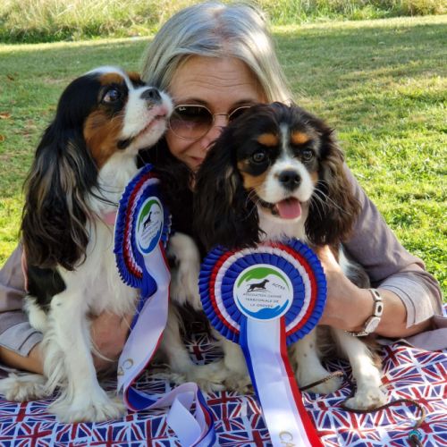 Eleveur : of little by little