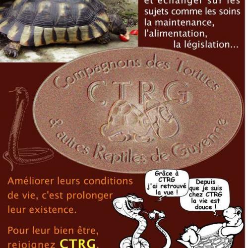 Asso Compagnons des Tortues et Reptiles de Guyenne
