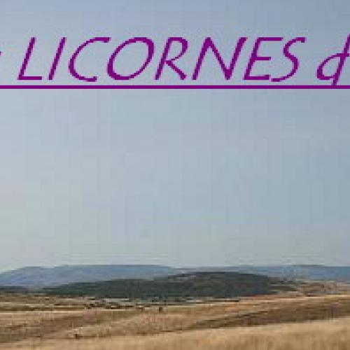 Eleveur : Des Licornes d'Aphrosy