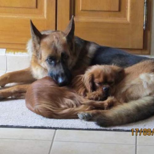 Eleveur : DOMAINE DE LA VAREZE