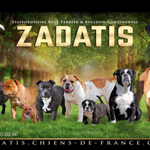 Eleveur : ZADATIS