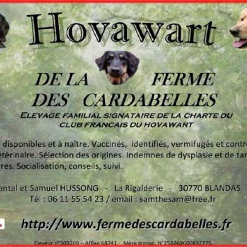 Eleveur : Ferme des Cardabelles