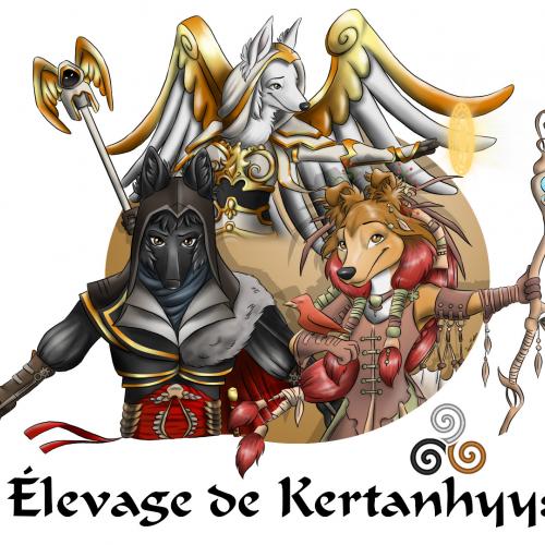 Eleveur amateur de chiens de berger