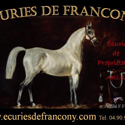 Eleveur : ecuries de francony