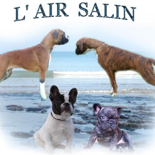 Eleveur : De l' Air Salin