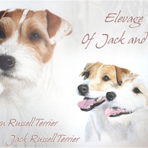 Eleveur : Of Jack and Co.