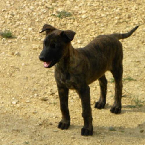 Eleveur : Domaine de la Veyssière