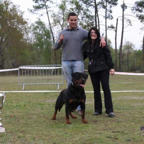 Eleveur : von lohenberg