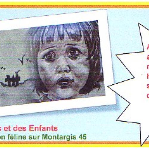 Association : AU BONHEUR DES CHATS ET DES ENFANTS