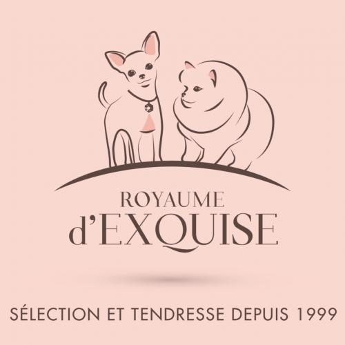 Eleveur : Royaume d'Exquise