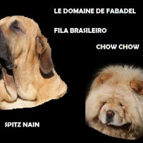 Eleveur : le domaine de fabadel