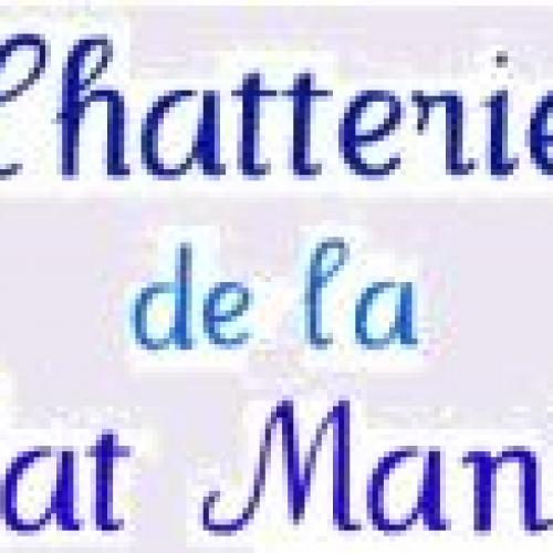 Élevage : maine coon ragdoll chien de berger des shetland