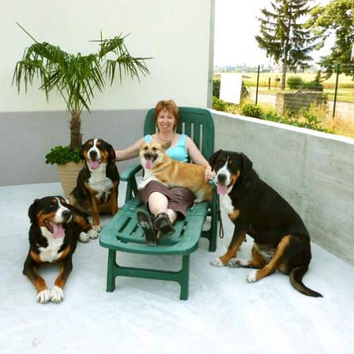 Eleveur : LES CHEVALIERS DU ZODIAQUE