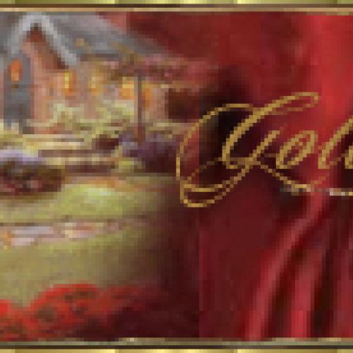 Élevage : yorkshire terrier