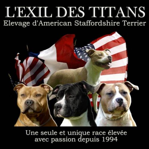 Eleveur : Elevage del'Exil des Titans