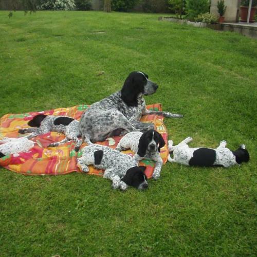 Eleveur : les hauts de rouillac