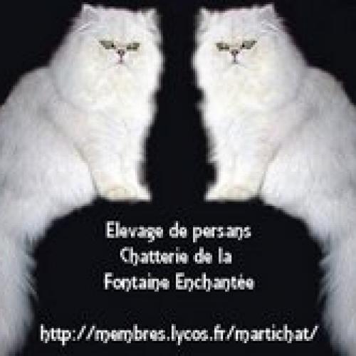 Eleveur : la fontaine enchantée