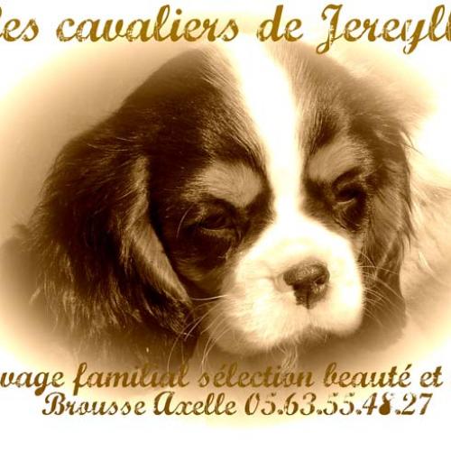 Eleveur : Jereylle