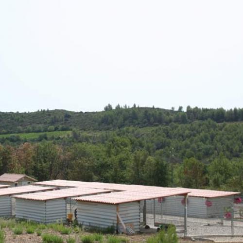 Eleveur naisseur professionnel