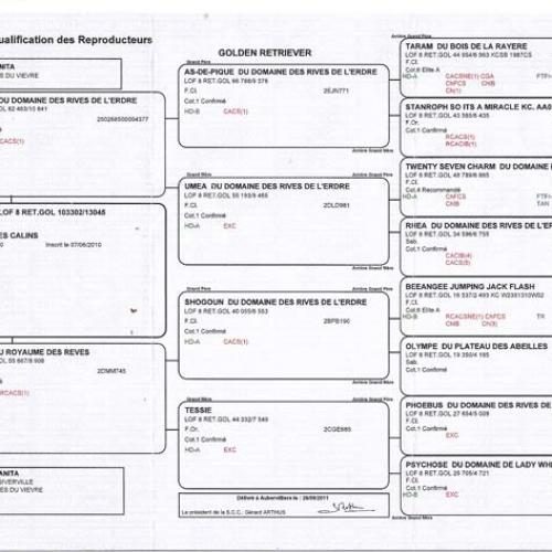 Eleveur : dengreville