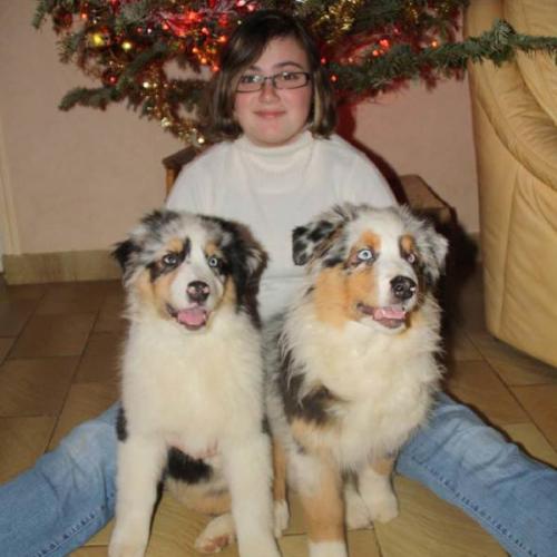 Eleveur : des mazellieres