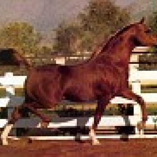 Association : ACA PAYS DE LOIRE