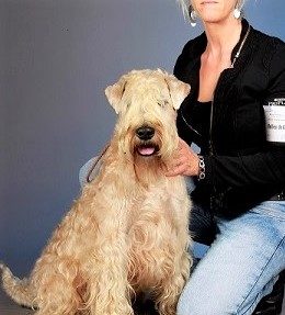 Eleveur : les varennes mystiques