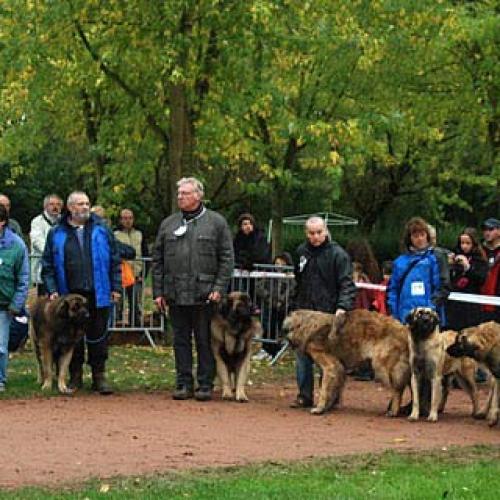 Élevage : le clos des gres