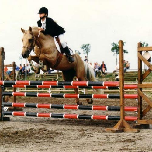 Eleveur : Herbord SCEA