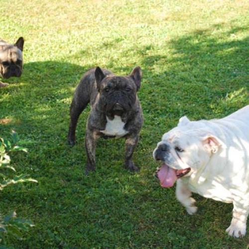 Eleveur : Du relais Postal