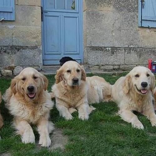 Eleveur : Du dolmen de laye