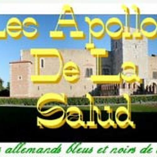 Élevage : dogue allemand