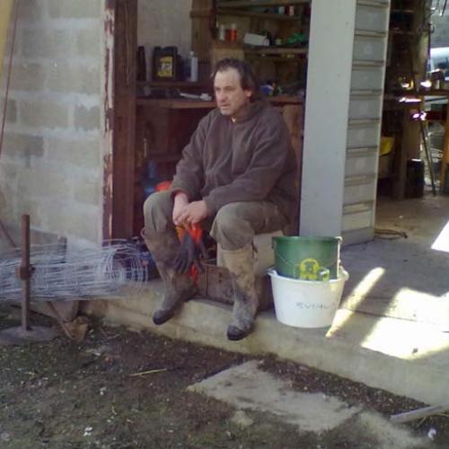 Élevage : chien courant slovaque foxhound americain jack russel terrier