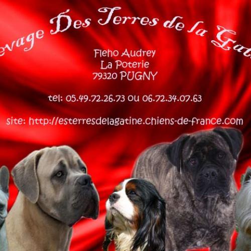 Eleveur : terres de la gatine