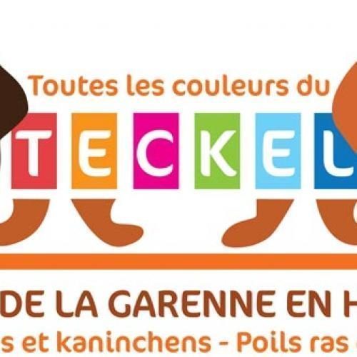 Eleveur : Elevage de la Garenne en Hurepoix