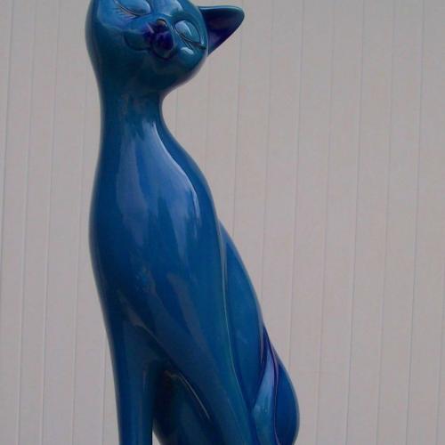 Eleveur : STE CAT'S BLUE