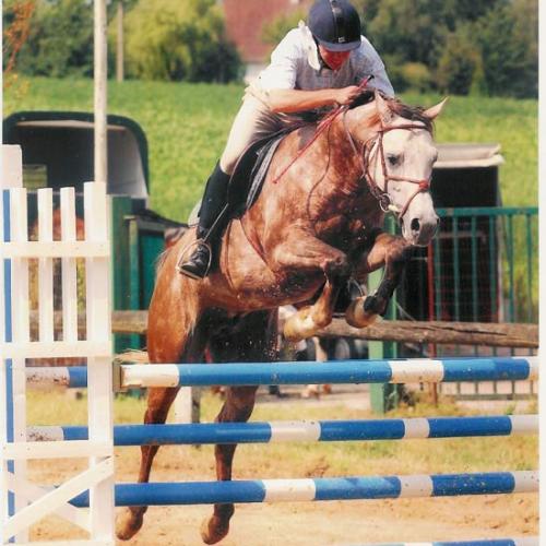 Eleveur : AGATHE ARABIANS