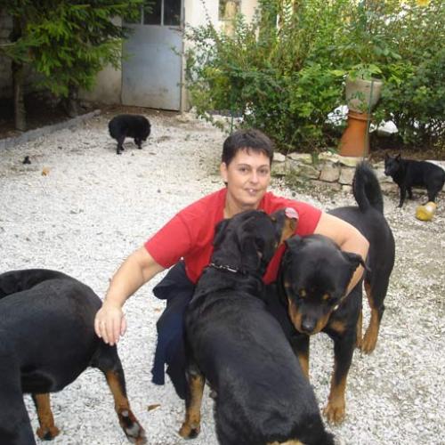 Eleveur : L'AURA DES ANGES GARDIENS