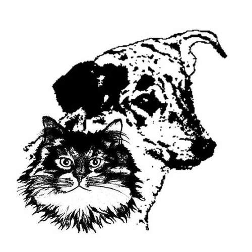 Eleveur : Elevage Axandyne