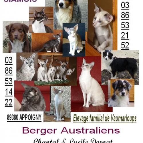 Eleveur : Vaumarloups