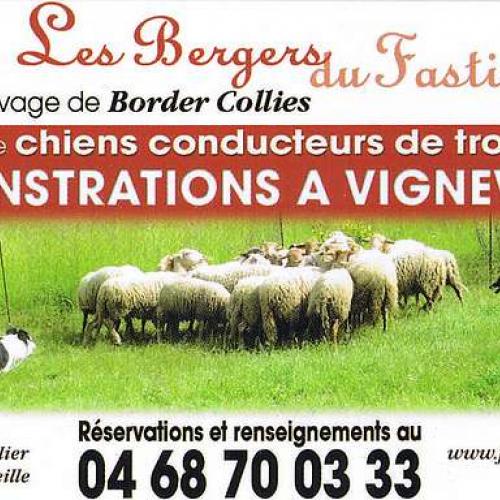 Eleveur : Les bergers du Fastiolos