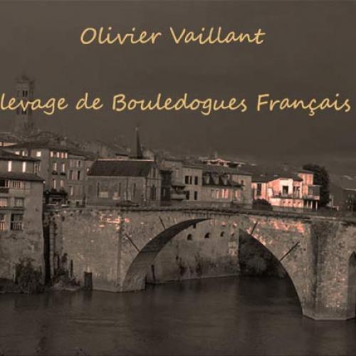 Eleveur de la race bouledogue francais LOF