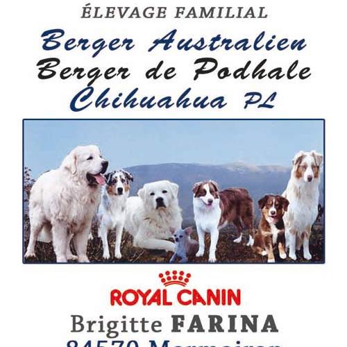 Eleveur : les tresors du mont ventoux