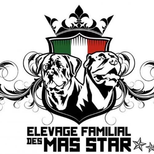 Eleveur : des Mas star de la cannaie