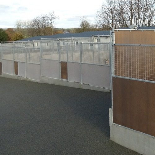 Pension canine / féline confortable, ouvert 7/7 j