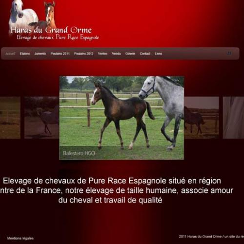 Eleveur : Haras du Grand Orme, élevage Pure Race Espagnole
